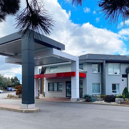 Comfort Inn Dryden Ngoại thất bức ảnh
