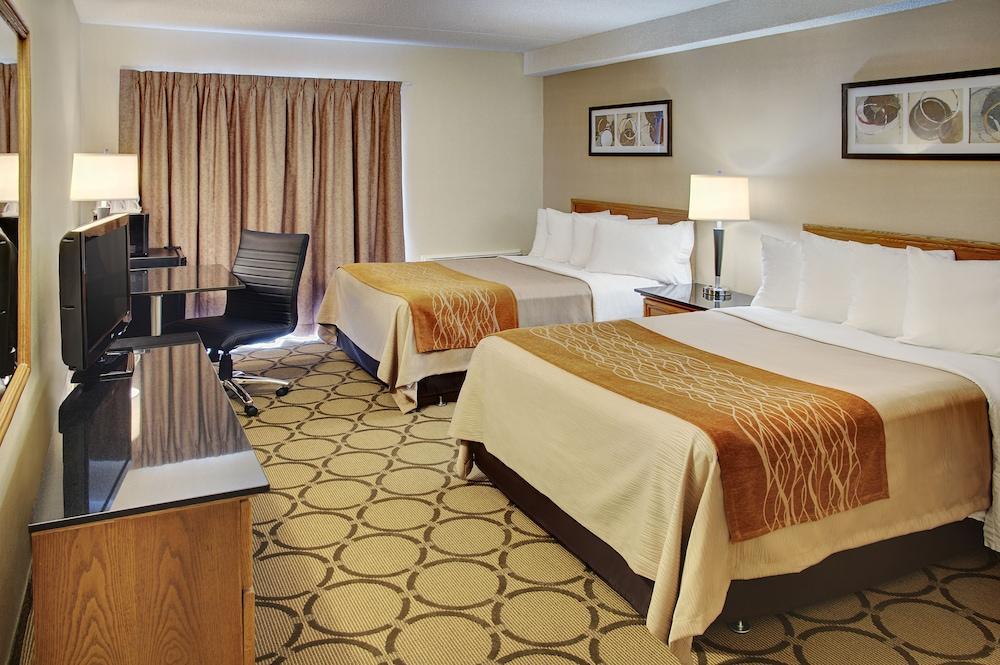 Comfort Inn Dryden Ngoại thất bức ảnh