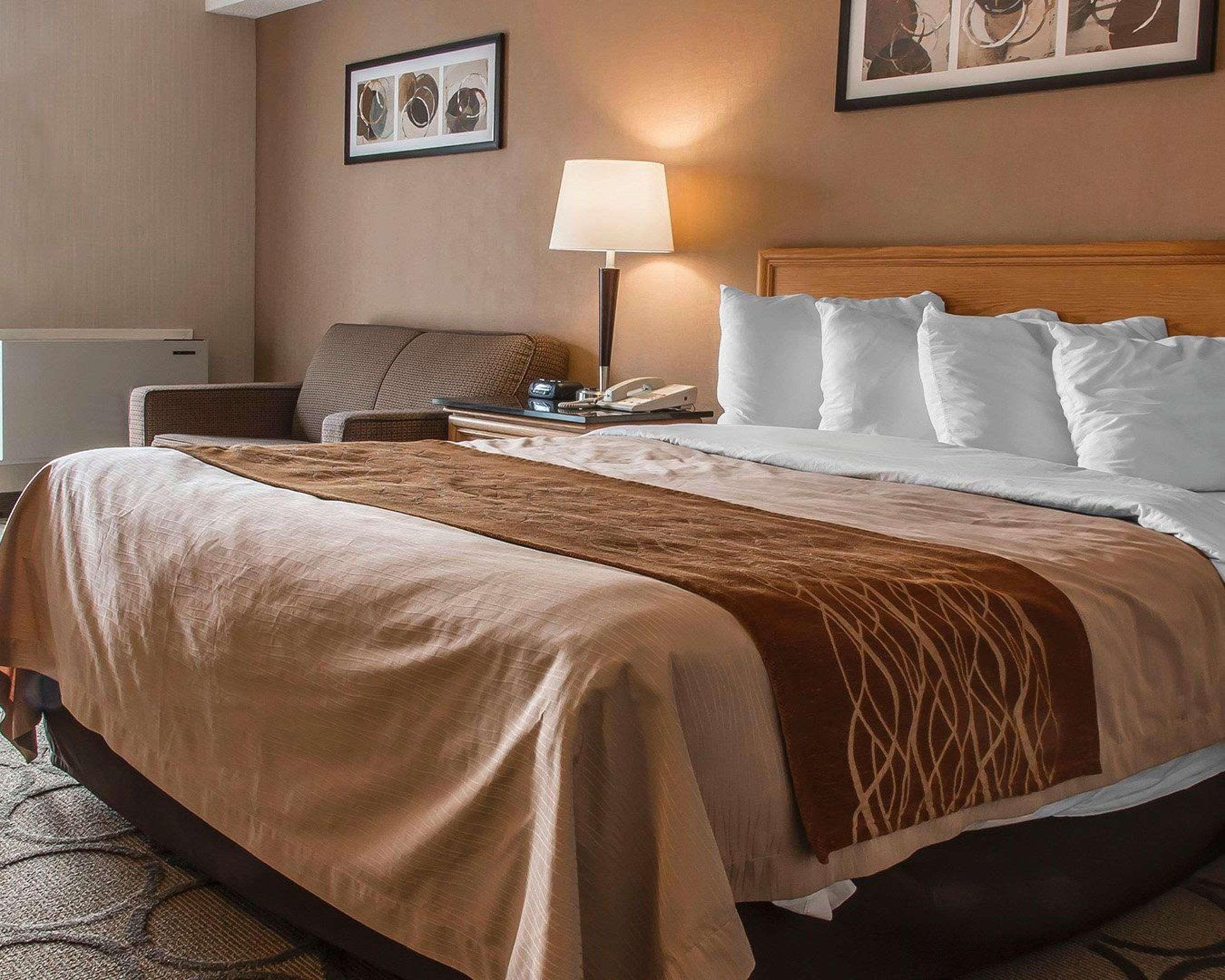Comfort Inn Dryden Ngoại thất bức ảnh