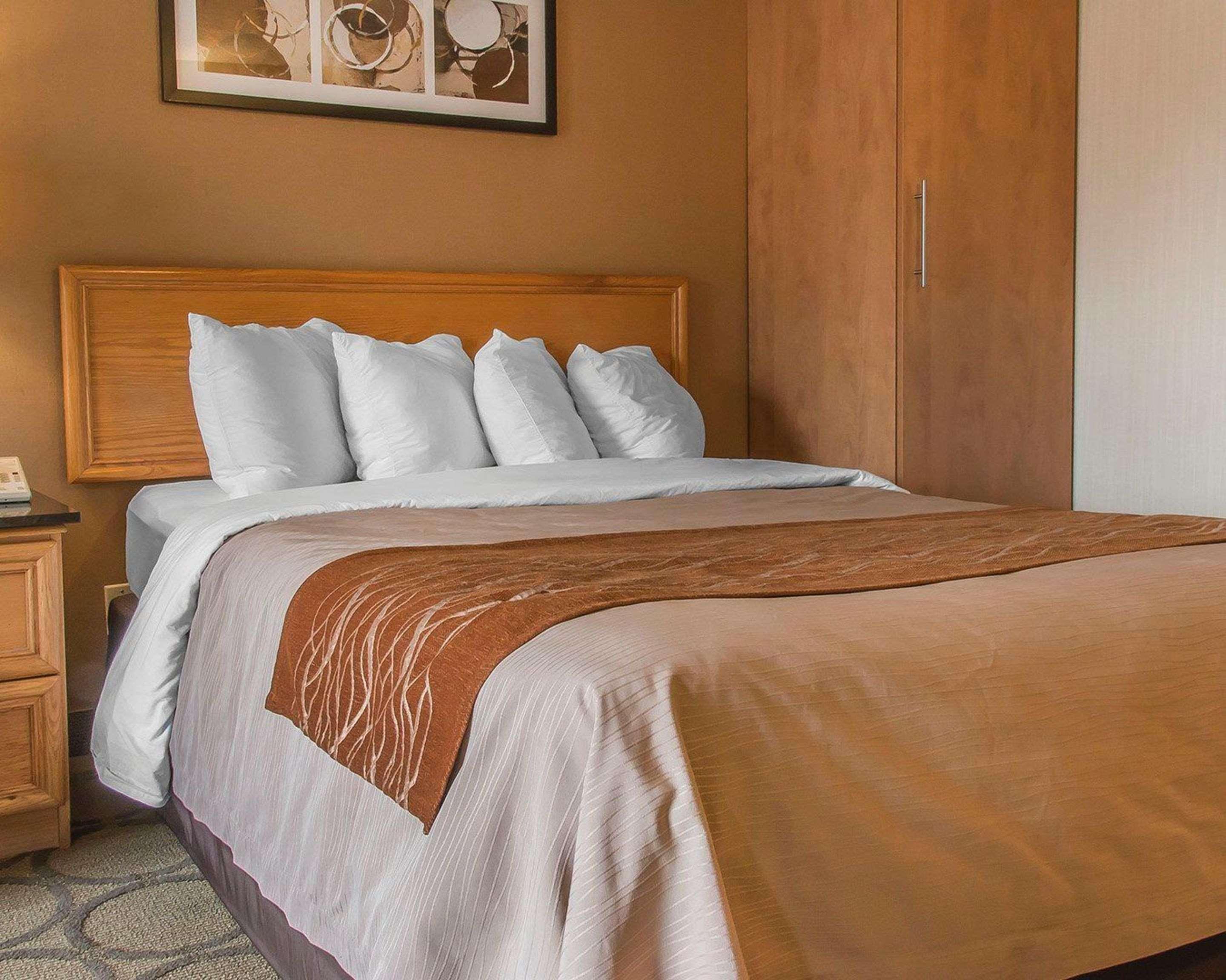 Comfort Inn Dryden Ngoại thất bức ảnh