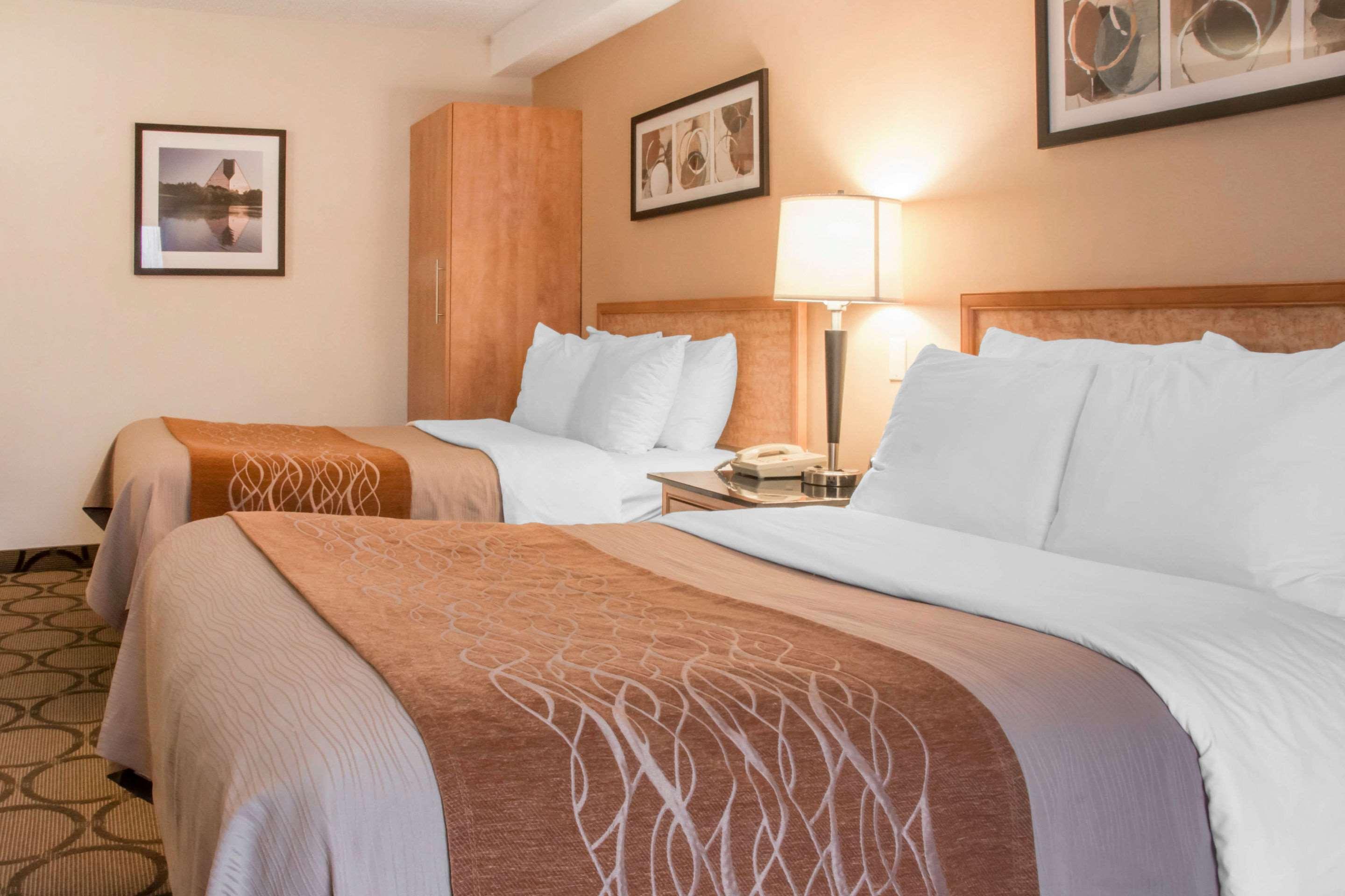 Comfort Inn Dryden Ngoại thất bức ảnh
