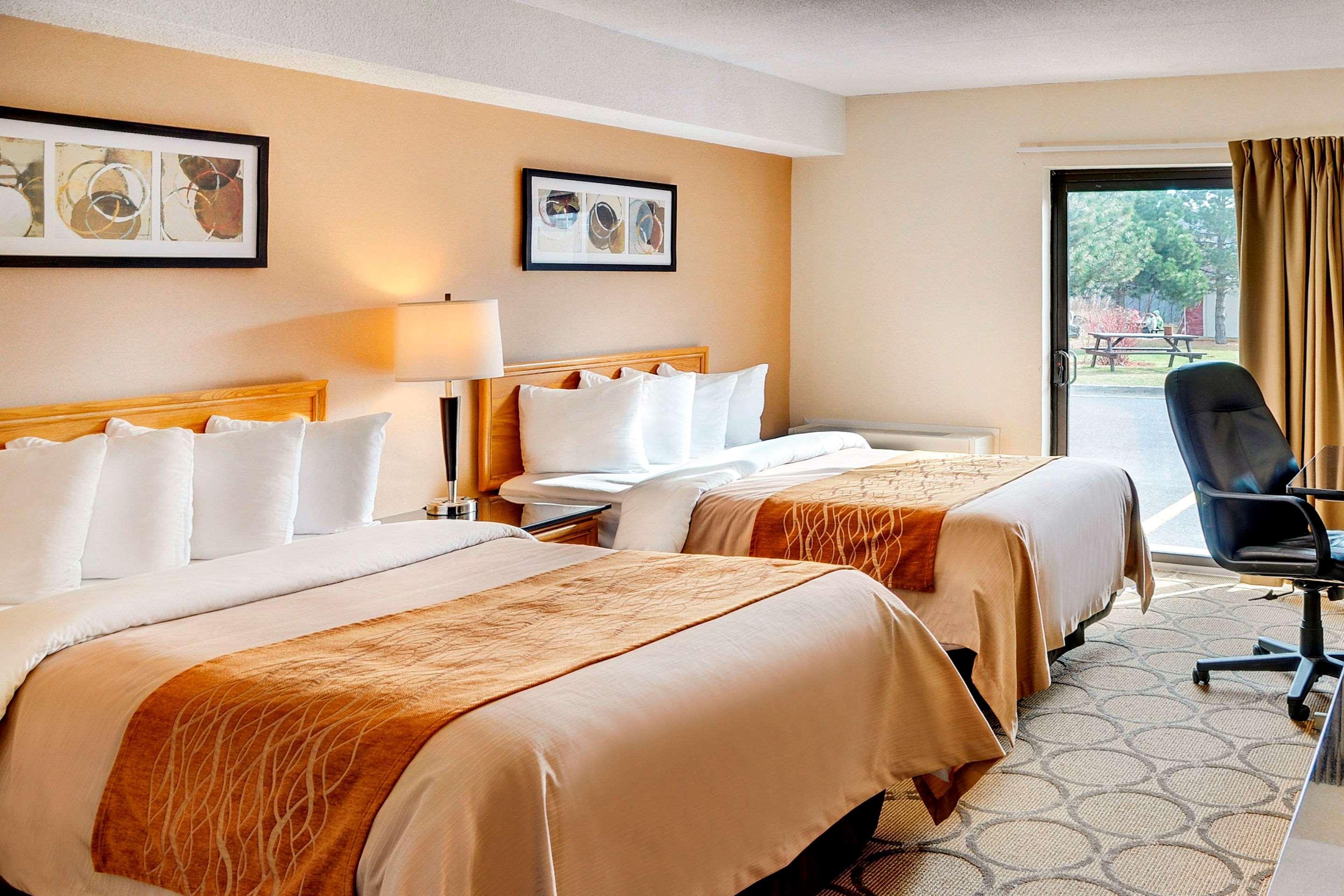 Comfort Inn Dryden Ngoại thất bức ảnh