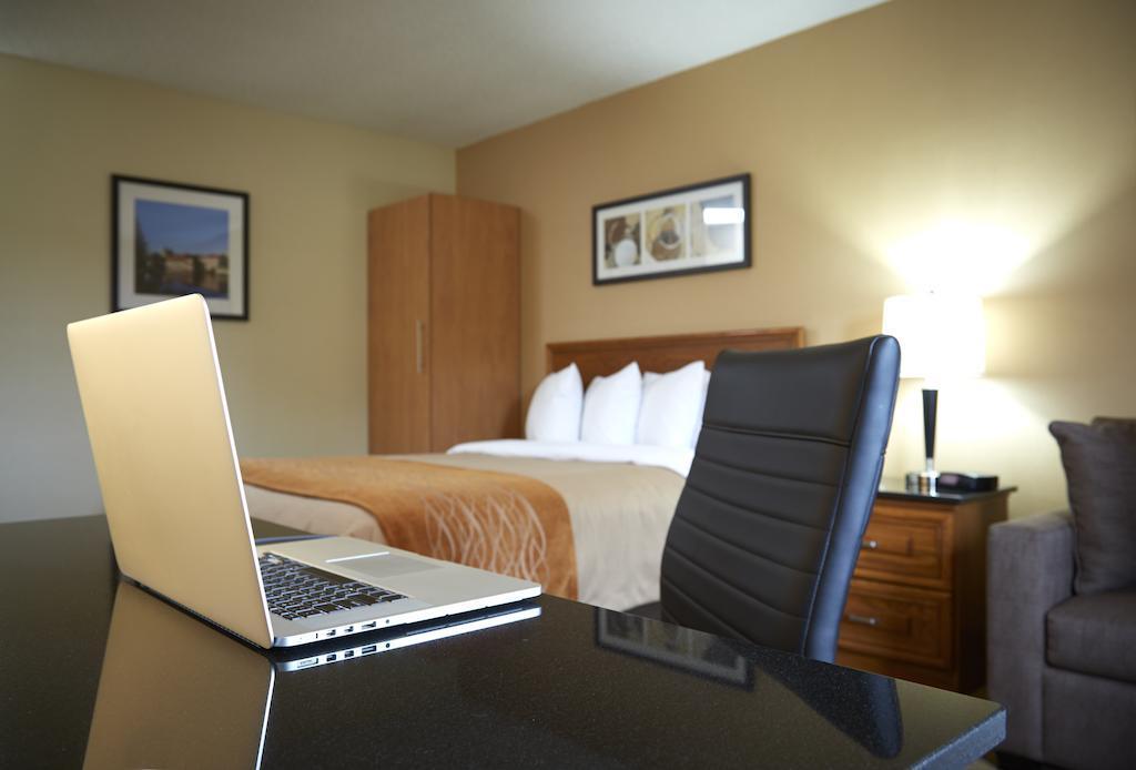 Comfort Inn Dryden Ngoại thất bức ảnh
