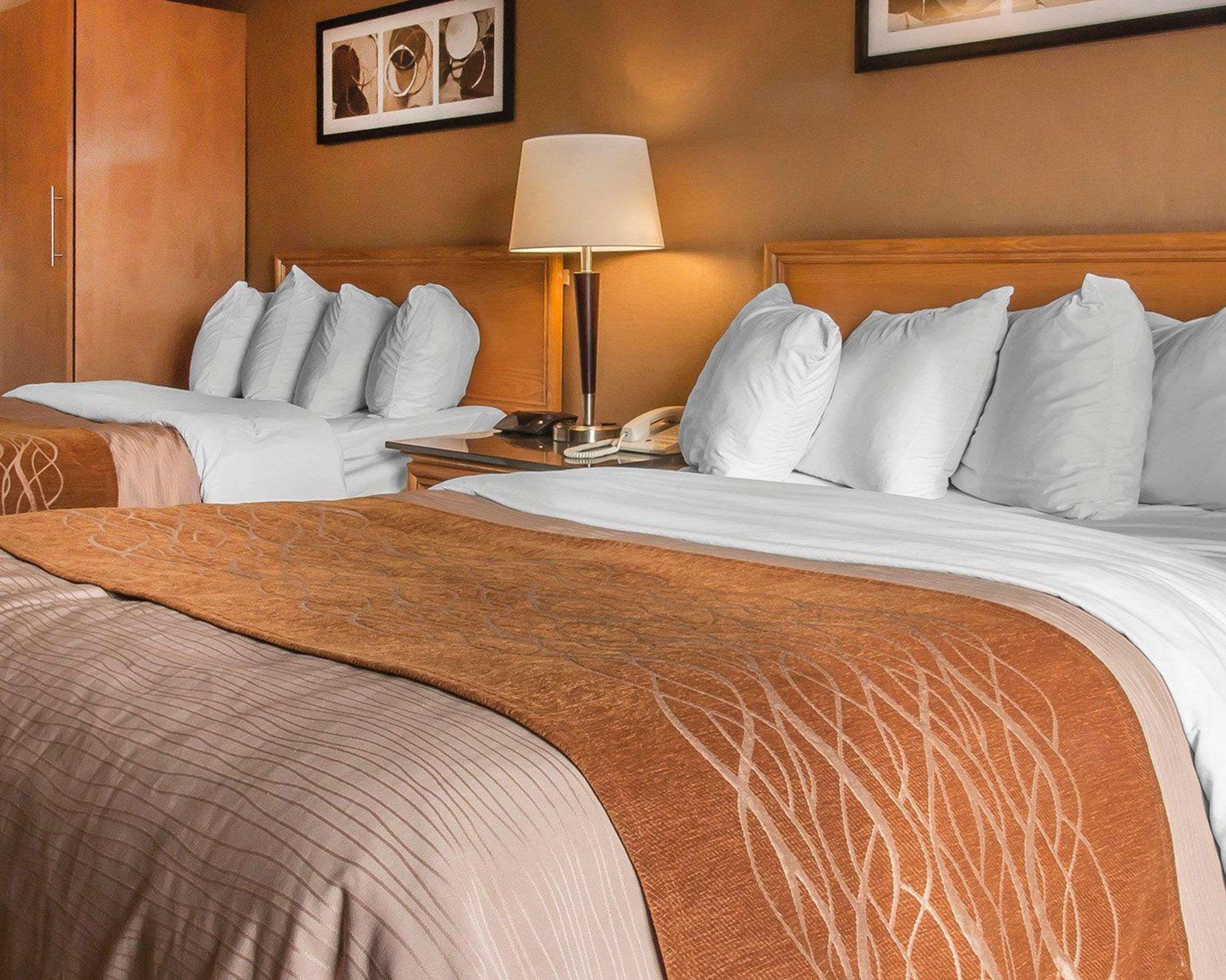 Comfort Inn Dryden Ngoại thất bức ảnh