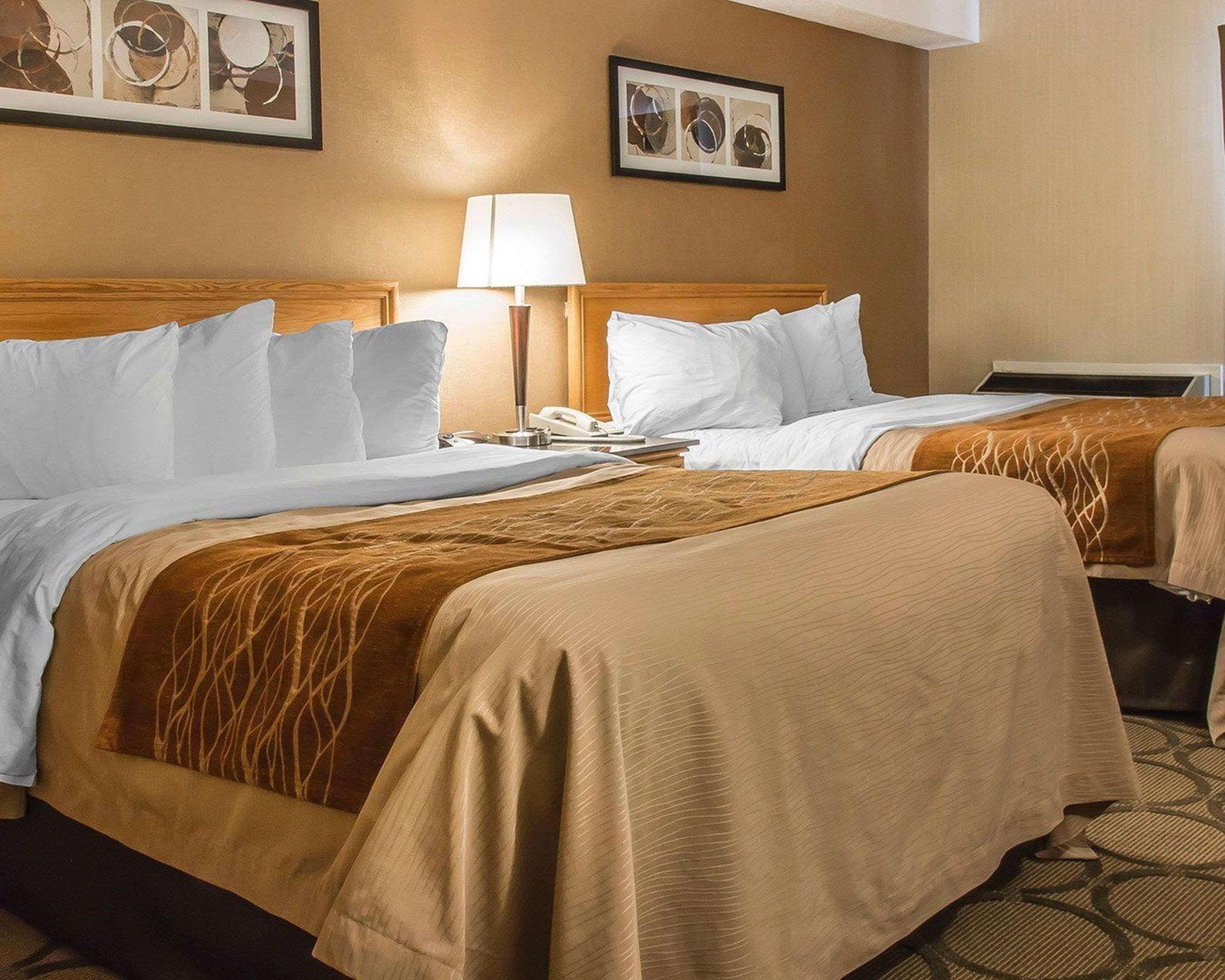 Comfort Inn Dryden Ngoại thất bức ảnh